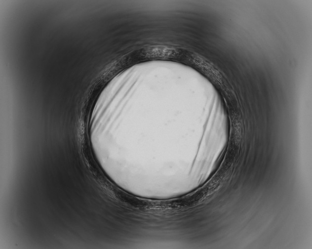 X0000094080729200711161607