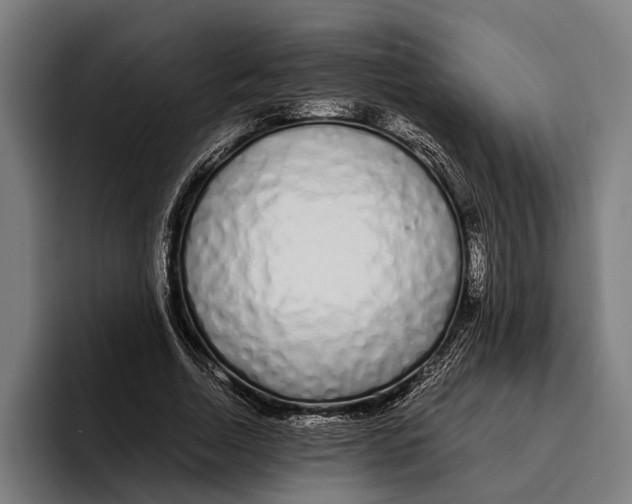 X0000094080730200711161607