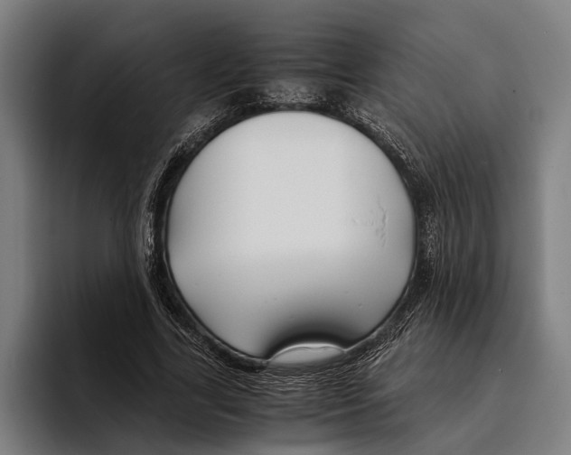 X0000094080731200711161607