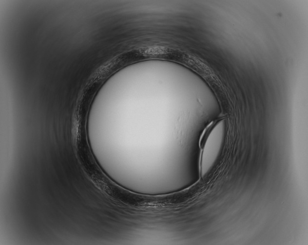X0000094080732200711161607