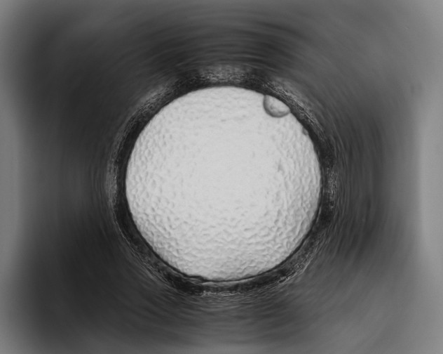 X0000094080733200711161607
