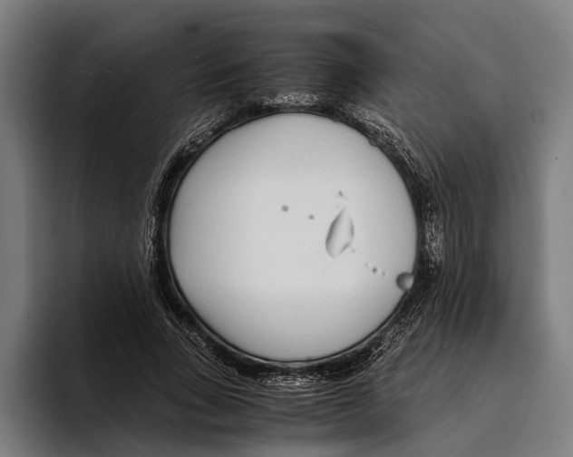 X0000094080735200711161607