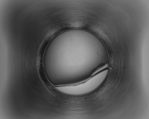 X0000094080736200711161607