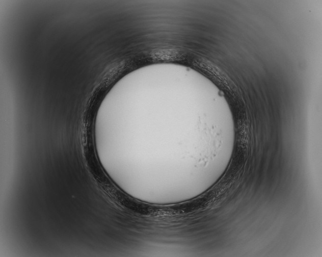 X0000094080738200711161607