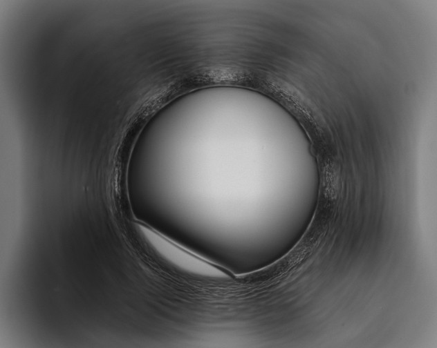 X0000094080740200711161607