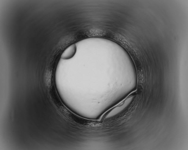 X0000094080742200711161607