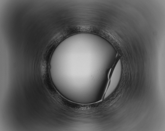 X0000094080744200711161607