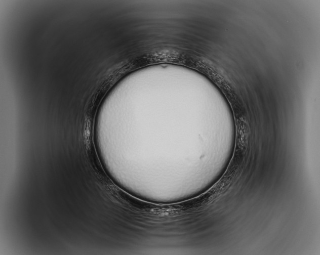 X0000094080745200711161607