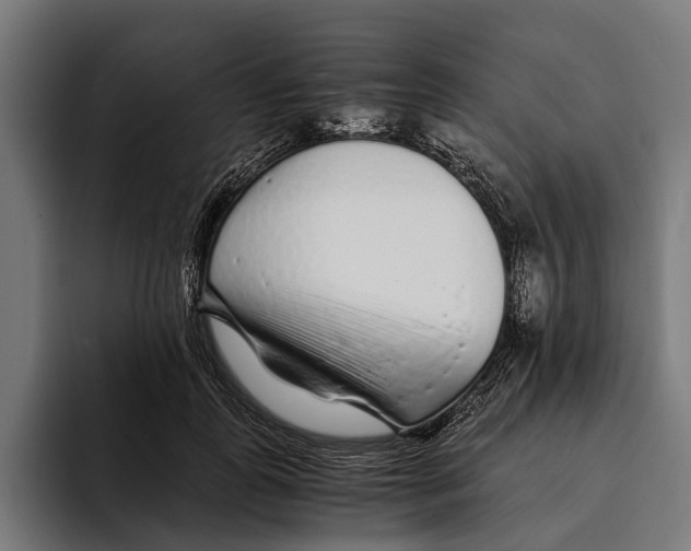 X0000094080747200711161607
