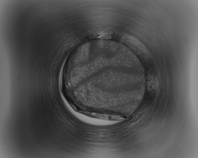 X0000094080748200711161607