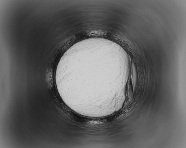 X0000094080749200711161607