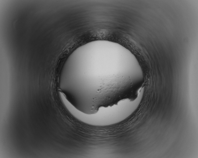 X0000094080750200711161607