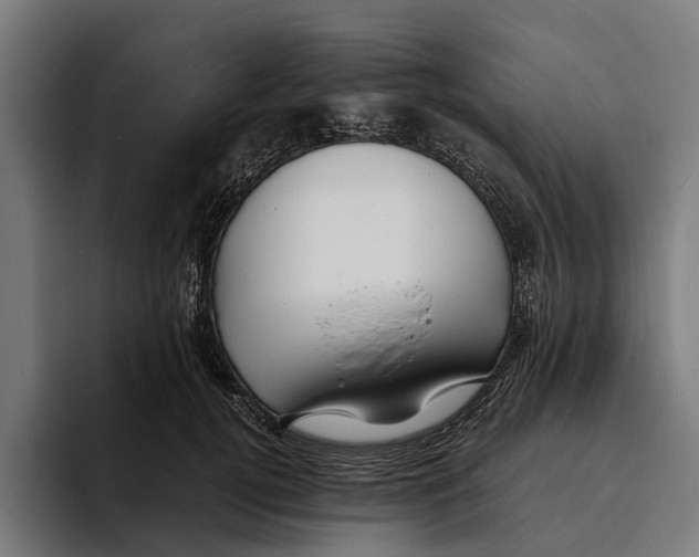 X0000094080752200711161607