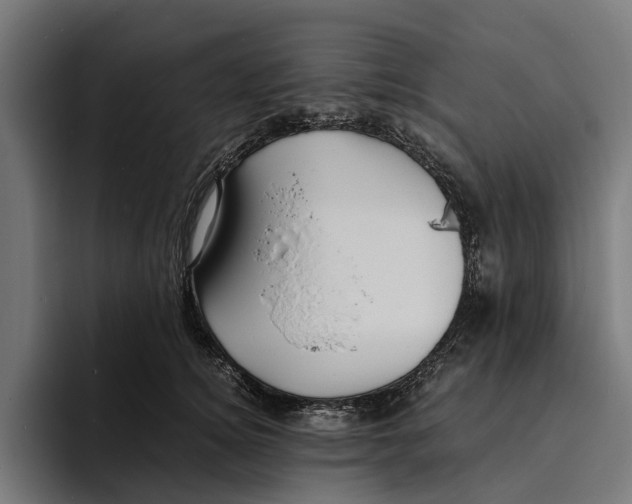 X0000094080756200711161607
