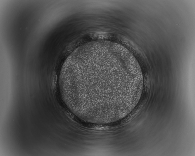 X0000094080760200711161607