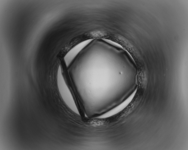 X0000094080762200711161607