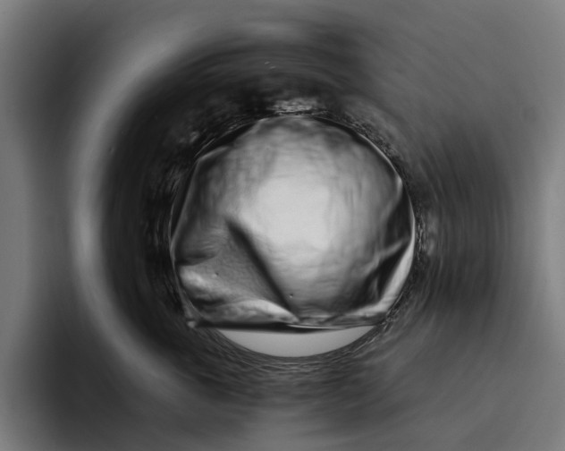 X0000094080763200711161607