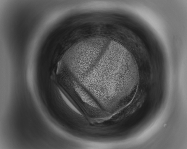 X0000094080766200711161607