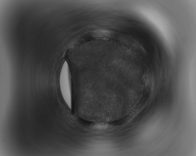 X0000094080767200711161607
