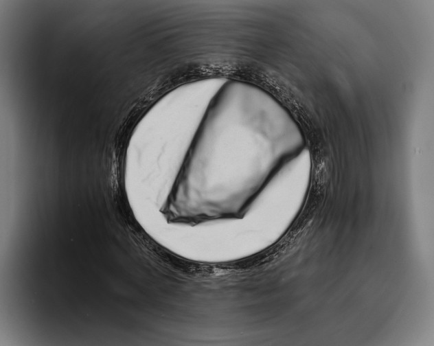 X0000094080772200711161606