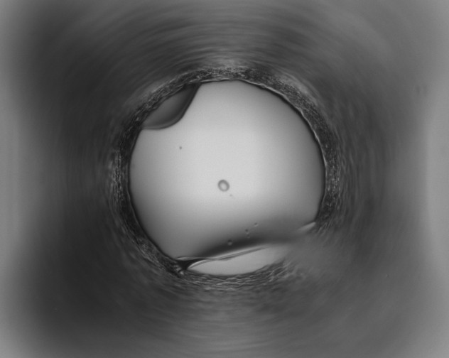 X0000094080773200711161606