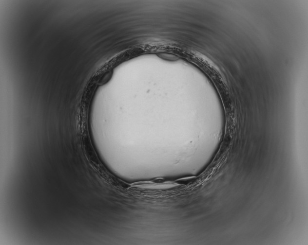 X0000094080775200711161606