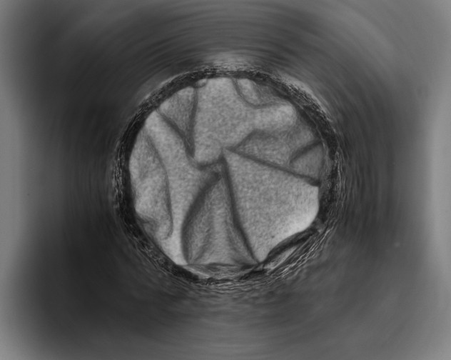 X0000094080776200711161606