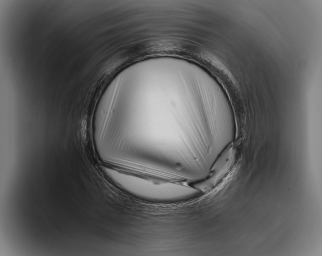 X0000094080777200711161606