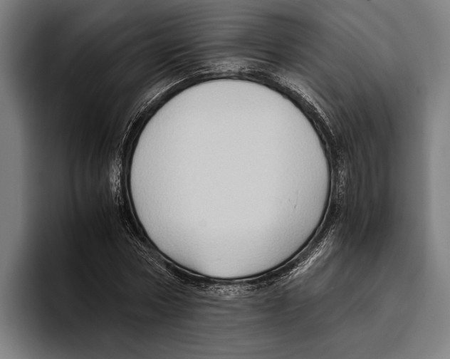 X0000094080778200711161606