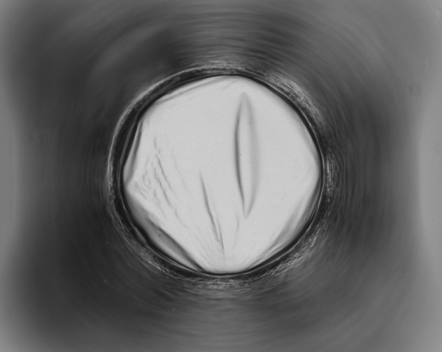 X0000094080780200711161606