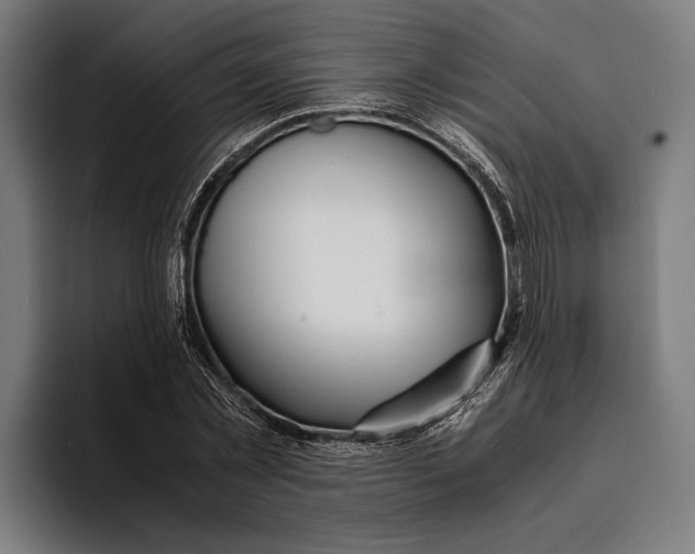 X0000094080781200711161606