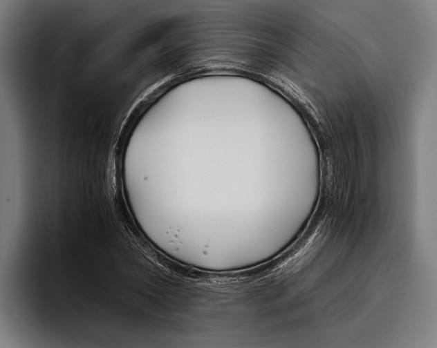 X0000094080782200711161606