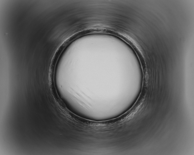 X0000094080783200711161606