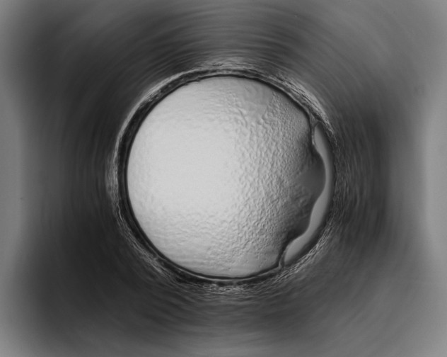 X0000094080784200711161606