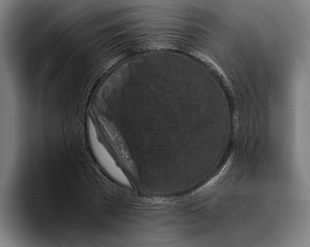 X0000094080785200711161606