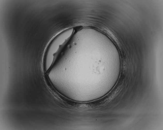X0000094080787200711161606