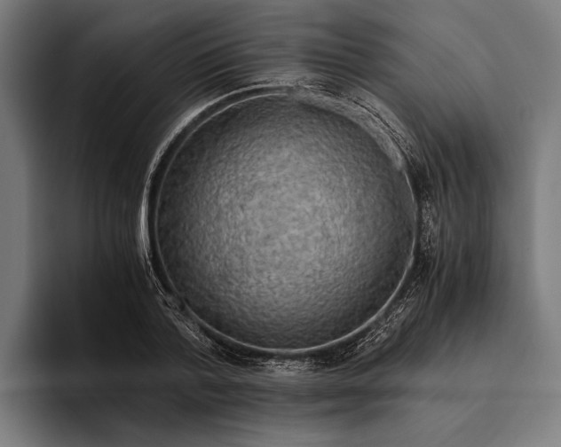 X0000094080788200711161606