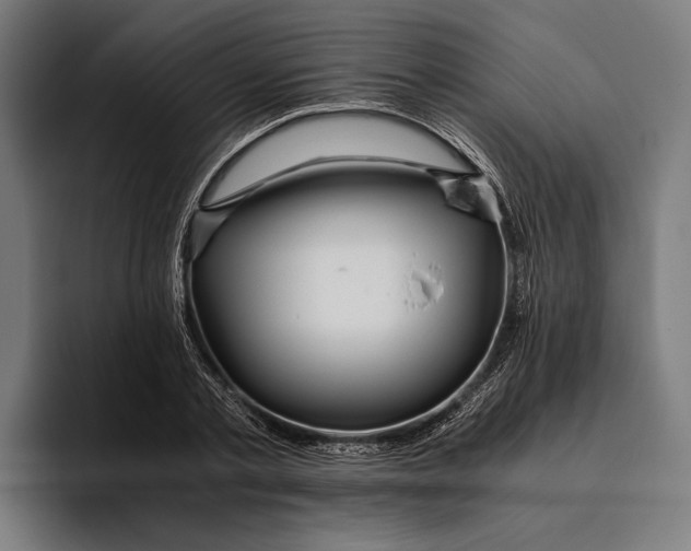 X0000094080789200711161606