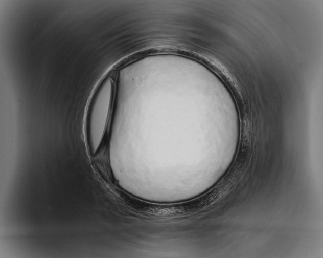 X0000094080791200711161606