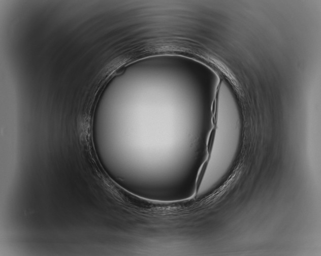 X0000094080793200711161606