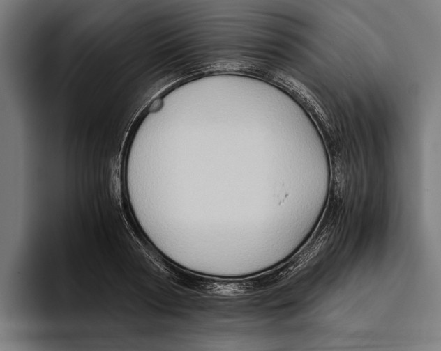 X0000094080794200711161606