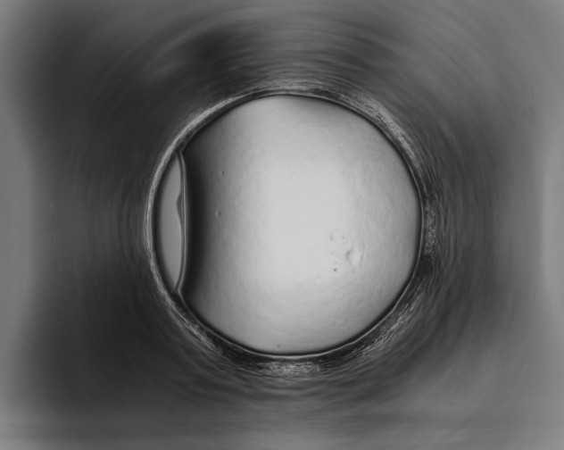 X0000094080795200711161606