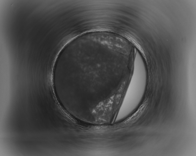 X0000094080797200711161606