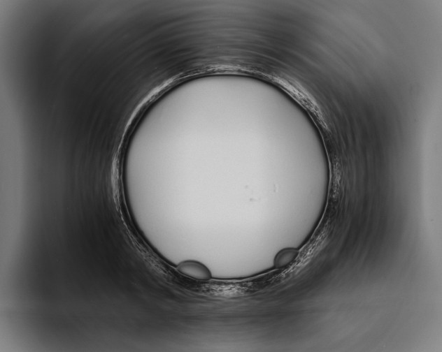 X0000094080798200711161606