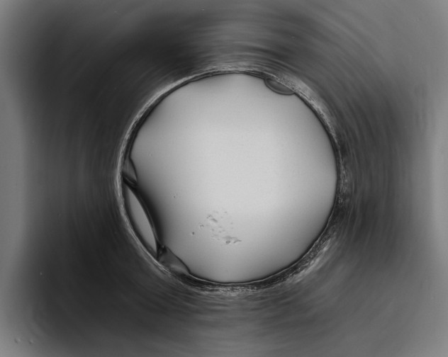 X0000094080803200711161606