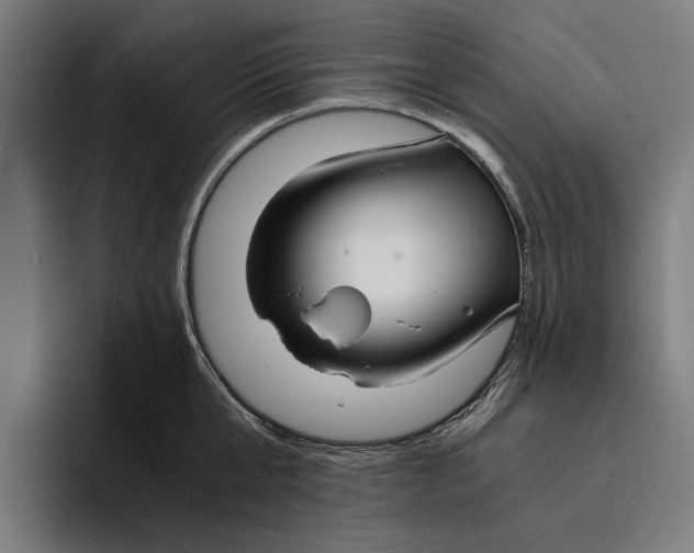 X0000094080807200711161606