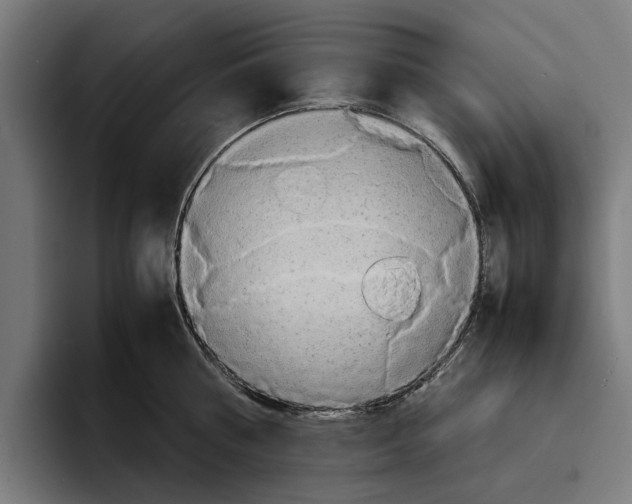 X0000094080810200711161606