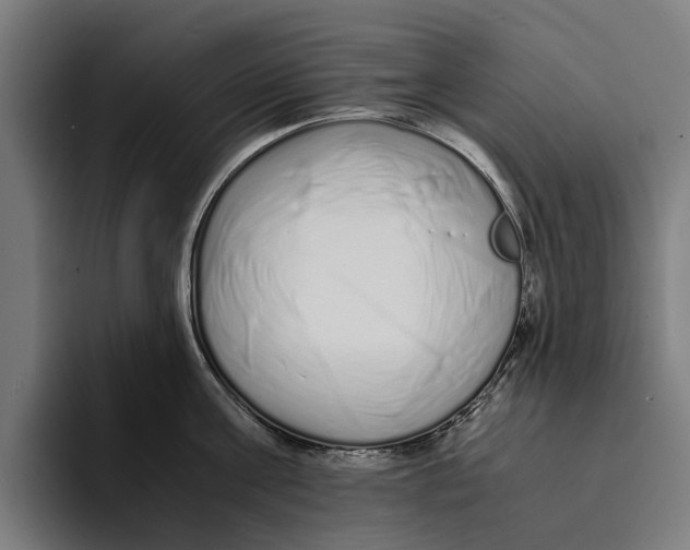 X0000094080811200711161606