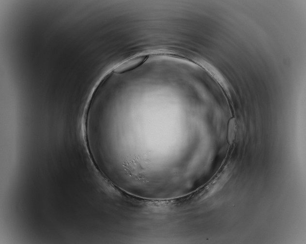 X0000094080813200711161606