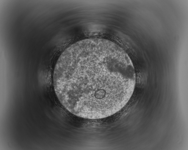 X0000094080820200711161605